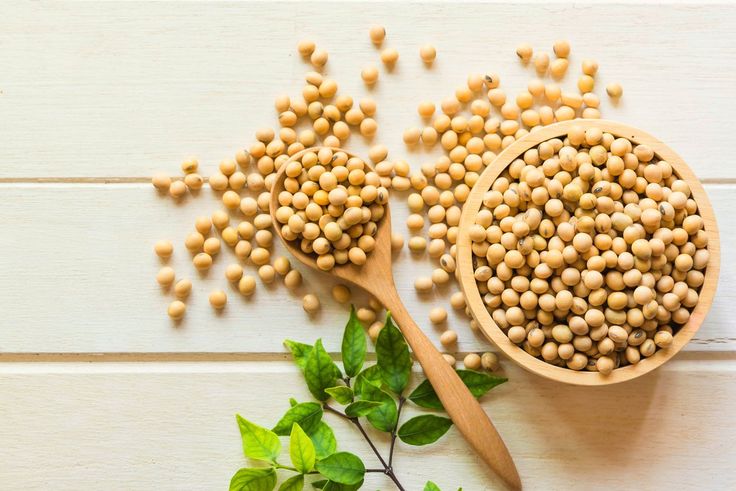 Frequently Asked Questions (FAQ) About Bulk Iranian Soybean Imports